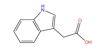 3-Indoleacetic acid